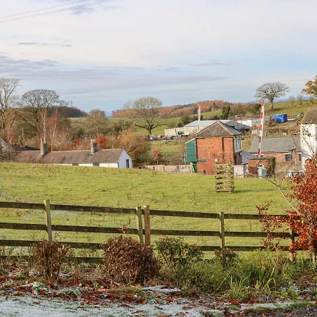 Swallow Μπράμπτον